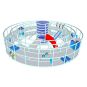 Indoorstructuur rond 2