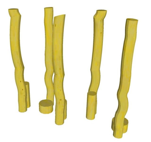 Palenbos 2 Robinia