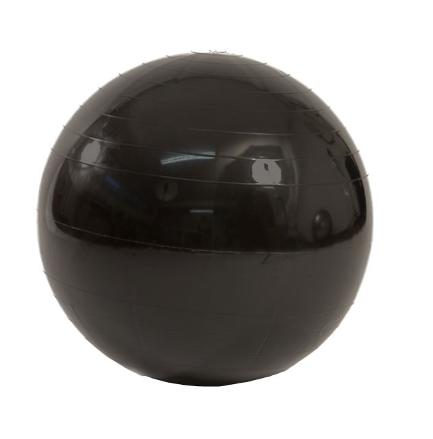 Gymnic zwart 65 cm Ø