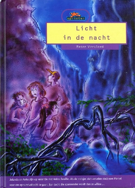 Licht in de nacht