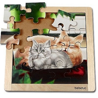 Legpuzzel poes
