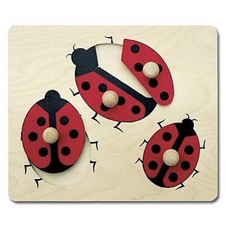 TKS Lieveheersbeestje