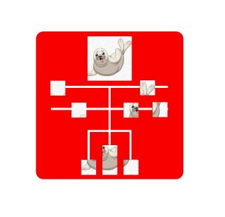 Schuifpuzzel zeehond